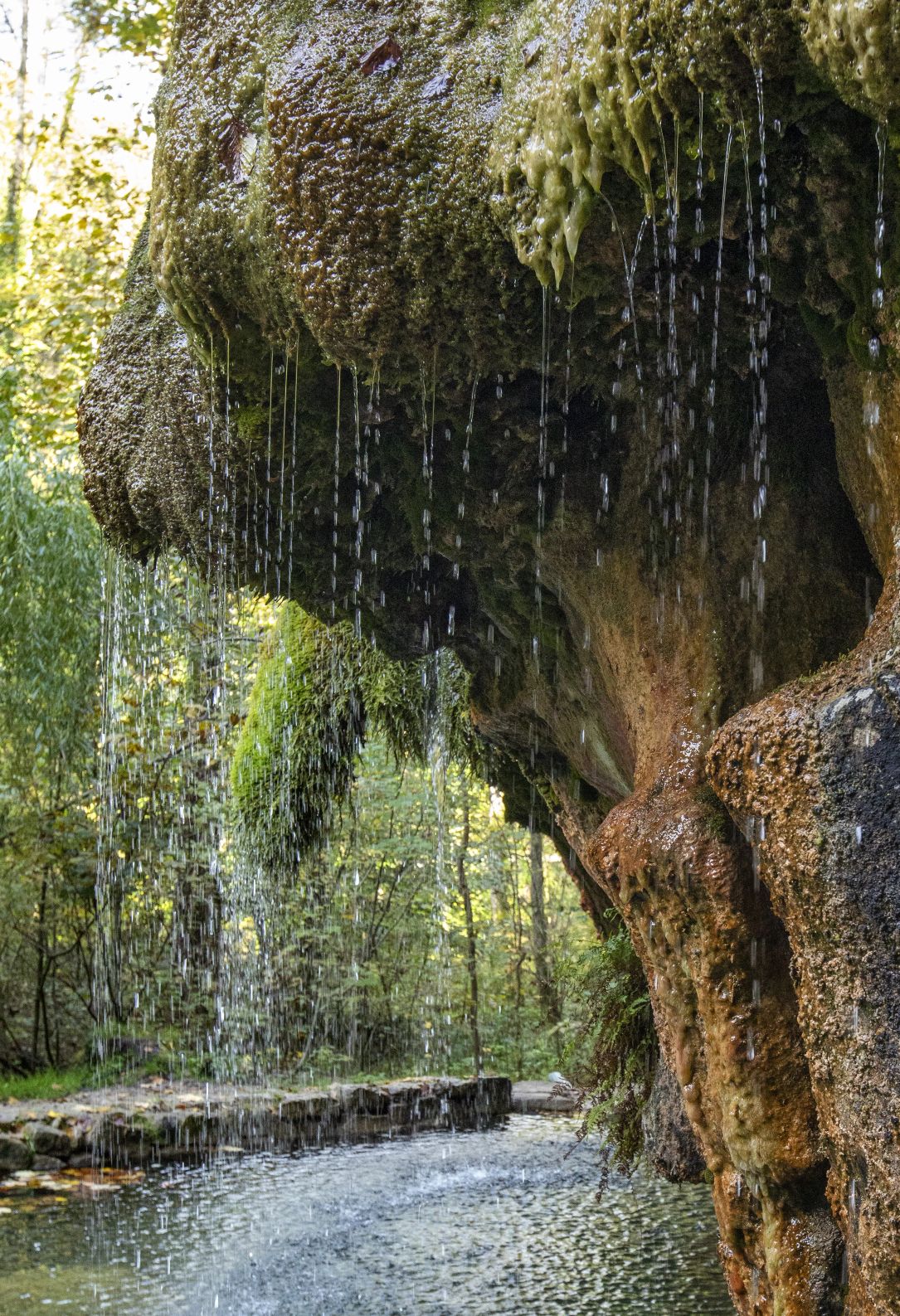 Kallektuffquell: L'eau claire et minérale goutte sur un rocher