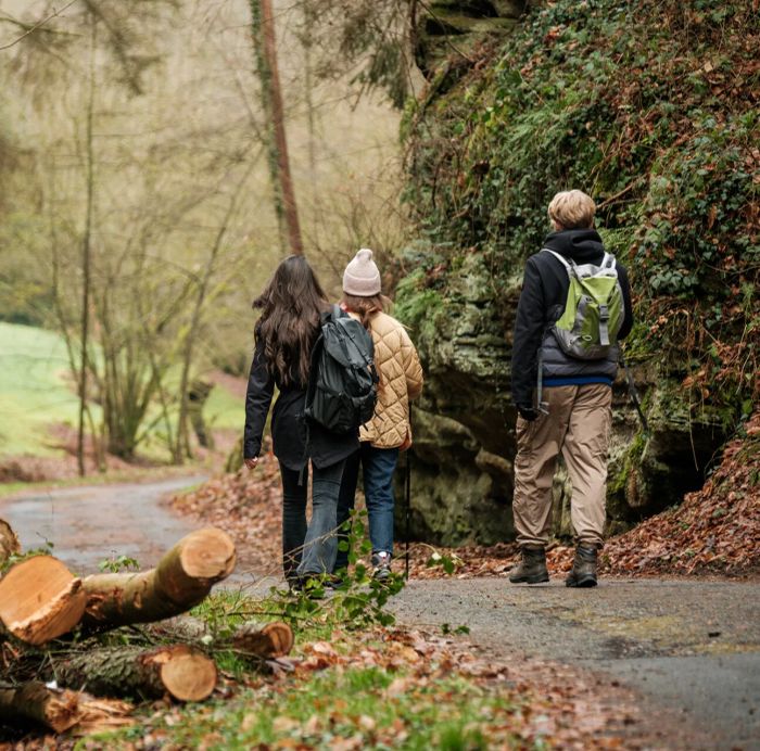 Hikers on the Mullerthal Trail Route 2