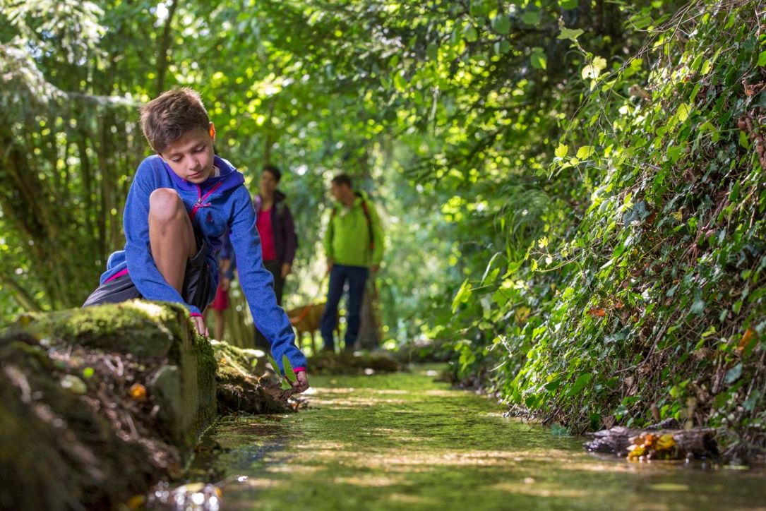 Un garçon joue avec des feuilles au bord de l'eau