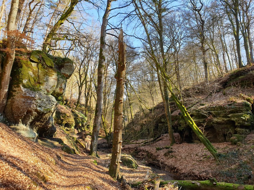 Waldweg umgeben von Felsformationen und kahlen Bäumen im Winter