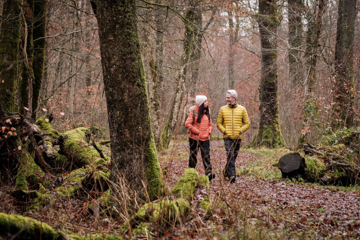 A couple walking along the Mullerthal Trail Route 1 in autumn