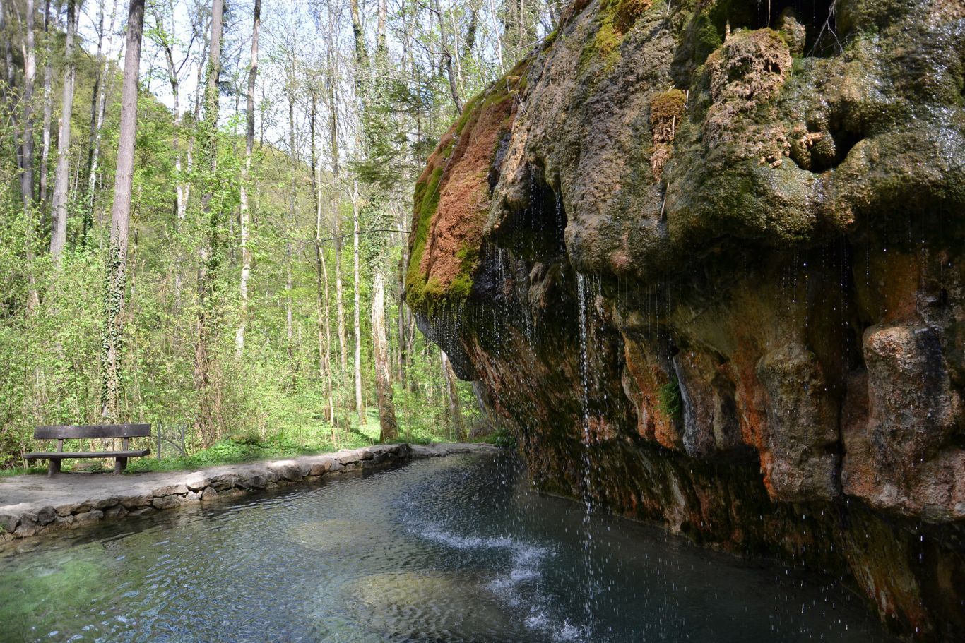 Quellwasser tropft von der „Kallektuffquell“.