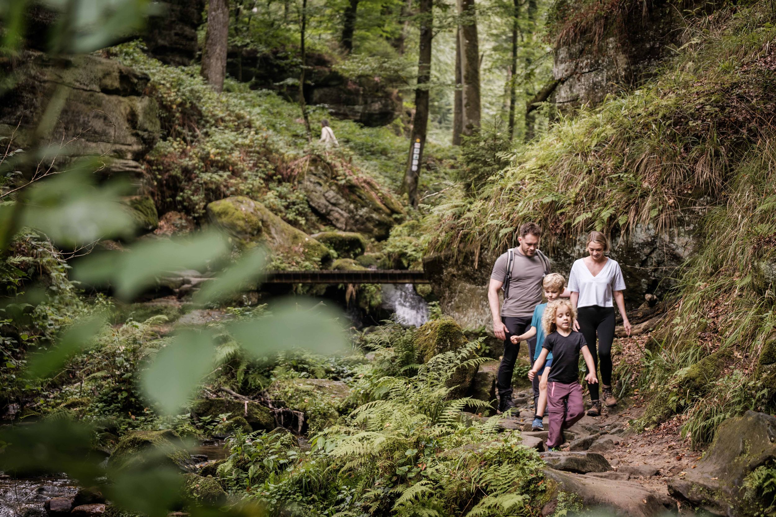 Familienwanderung auf dem Geo-Pad Haupeschbaach-Hallerbach