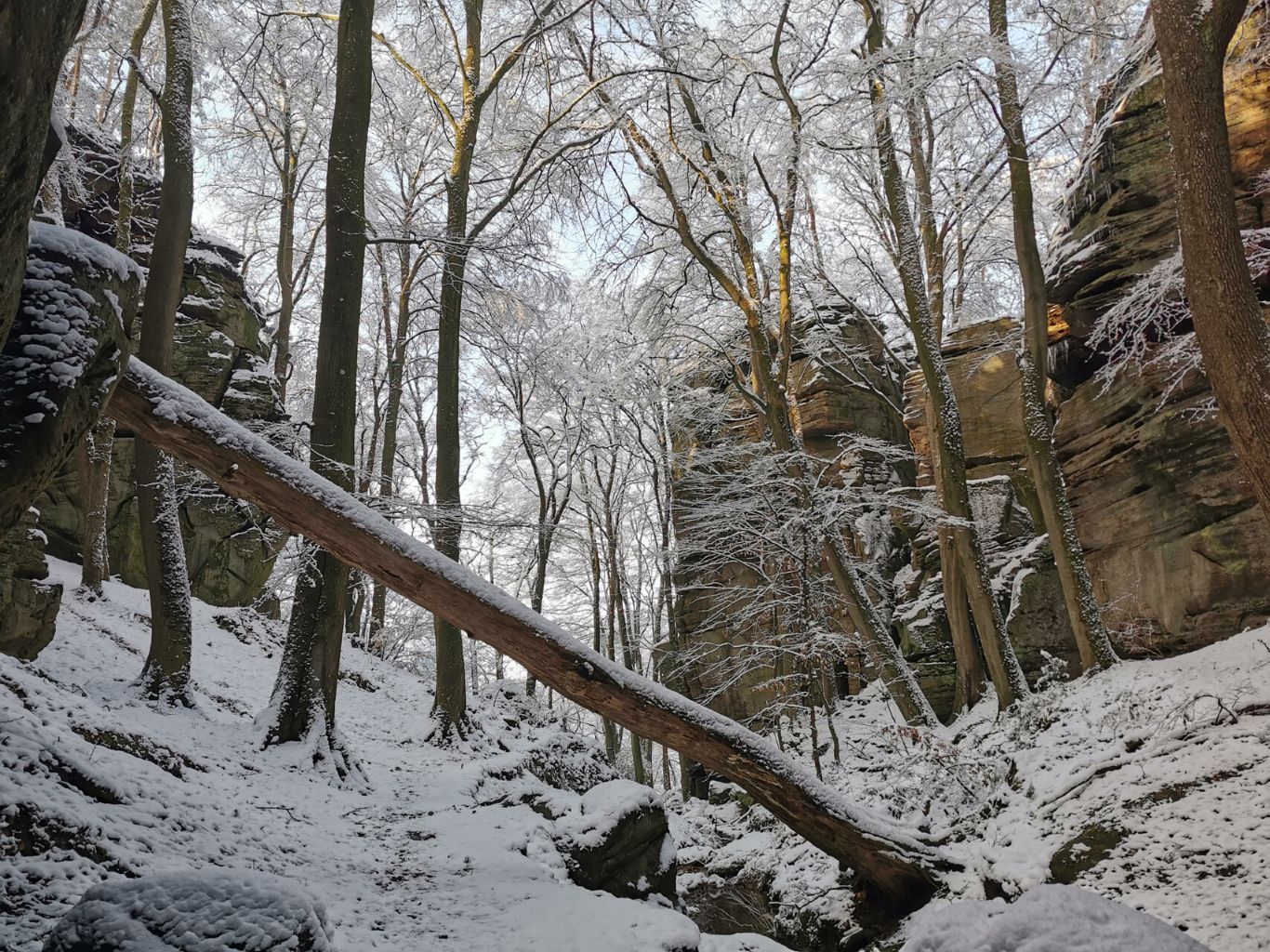 Lokaler Wanderweg in Berdorf im Winter