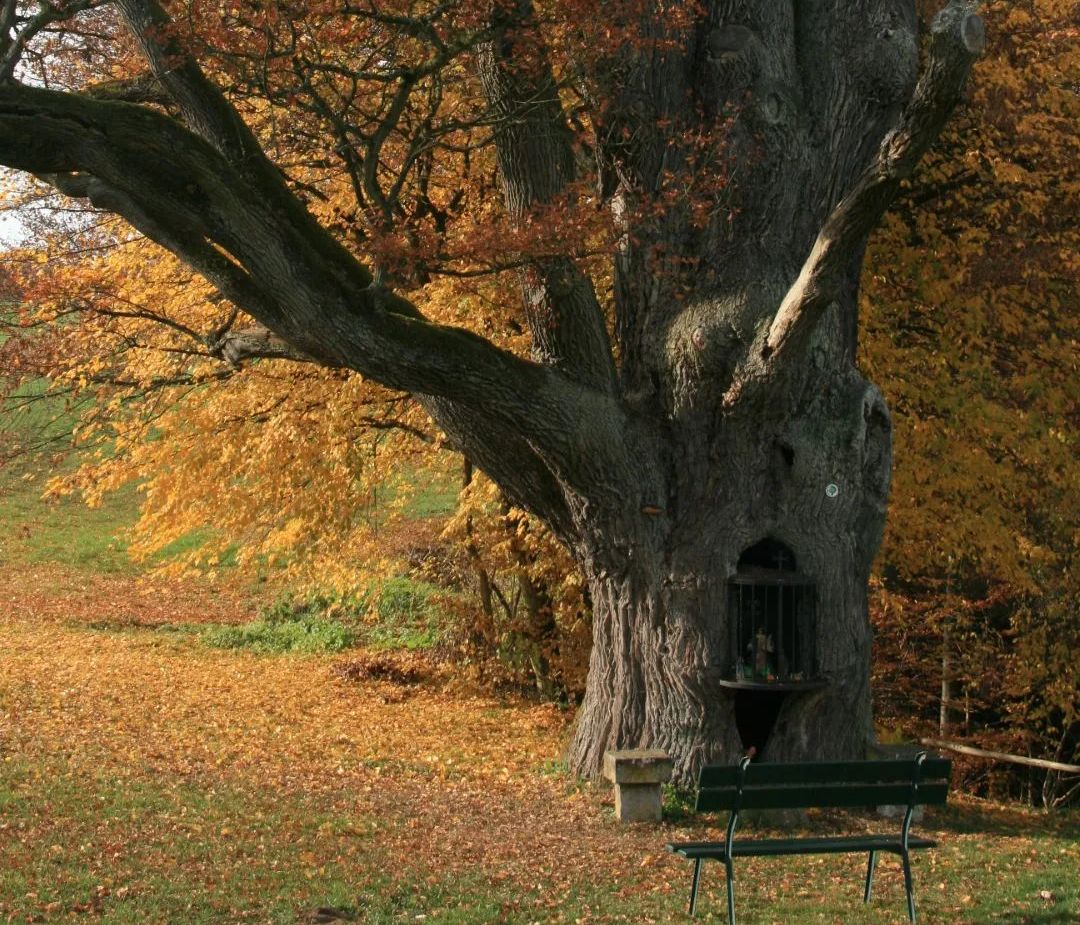 Het "Bildchen" in Hersberg