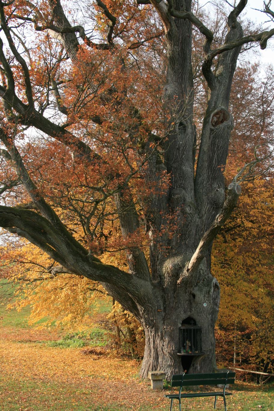 Le "Bildchen" à Hersberg