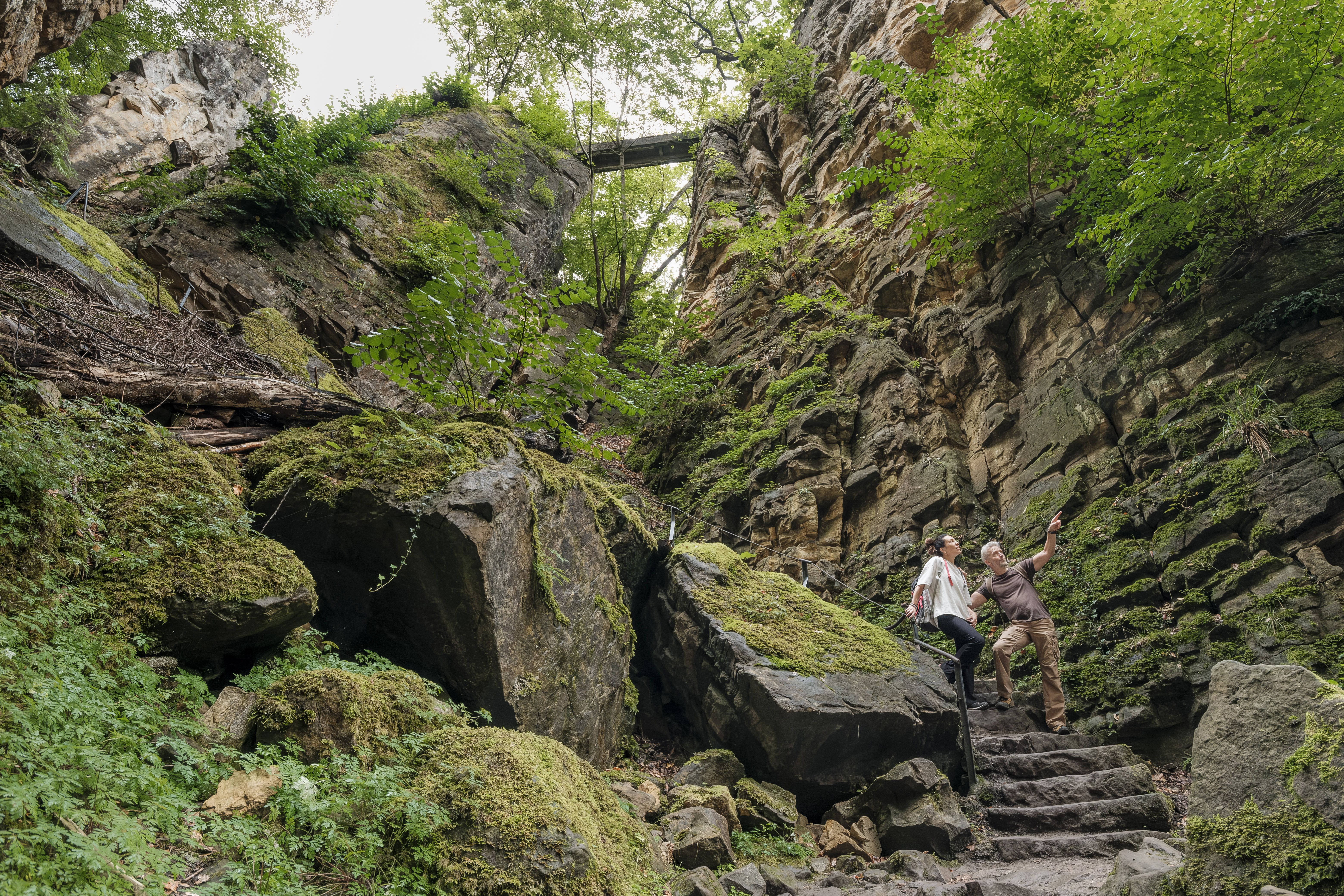 Rotsformatie - Wollefsschlucht - Mullerthal