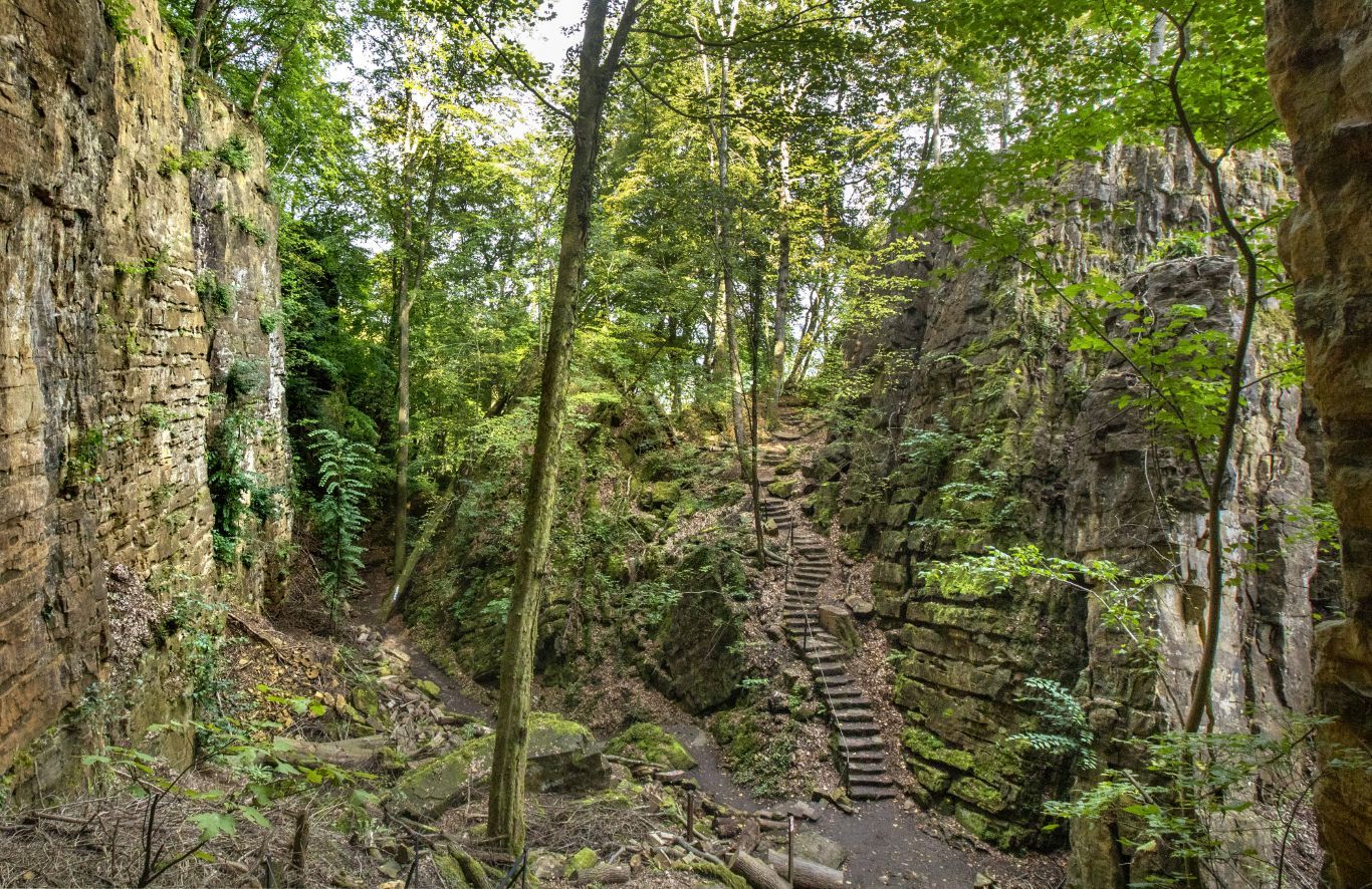 Treppe durch die Felsenlandschaft der Wollefsschlucht in Echternach.