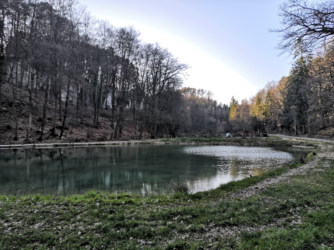 Der Fischteich in Fischbach