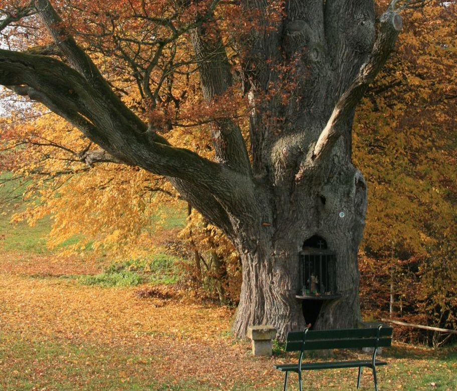 The "Bildchen" in Hersberg