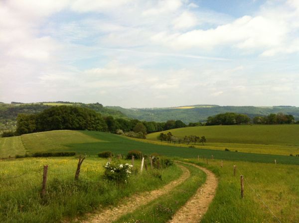 Wandelen op de Mullerthal Trail Route 1