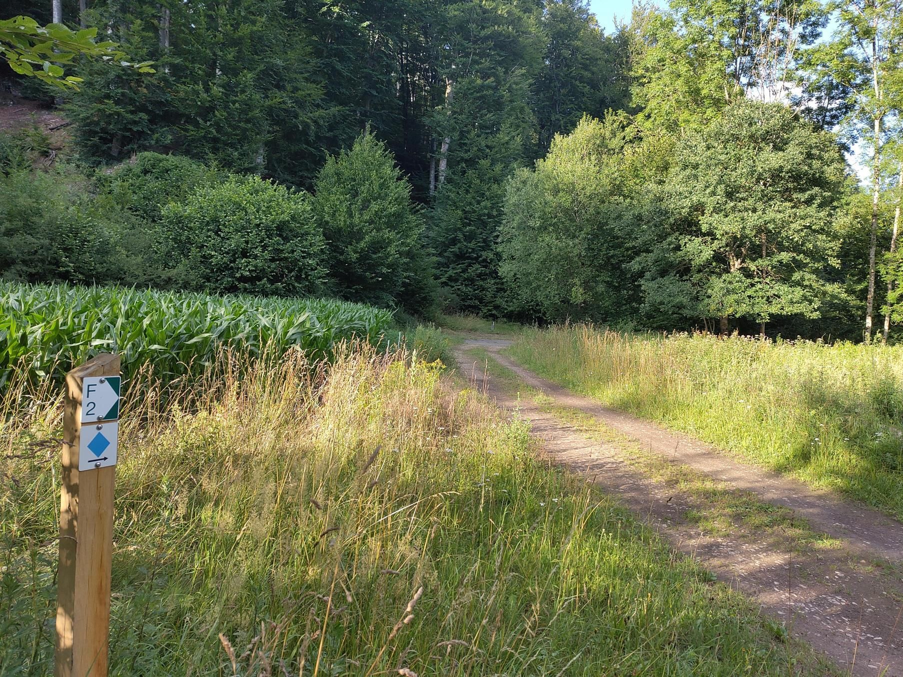 Houten paaltje met het Auto-Pédestre routebordje