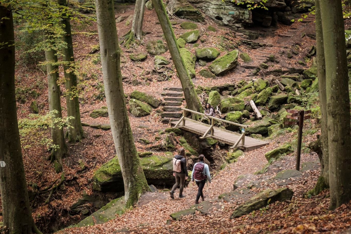 Drie wandelaars op een pad door een rotsachtig landschap met bomen