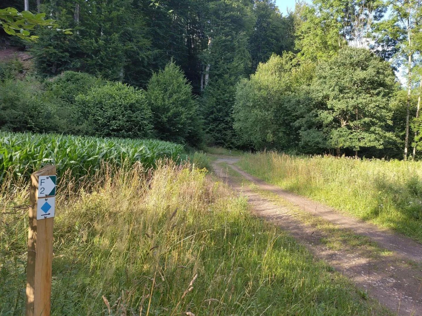 Wooden post with the Auto-Pédestre trail marker