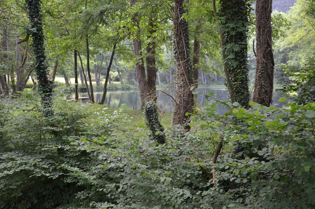 Aal Schmelz