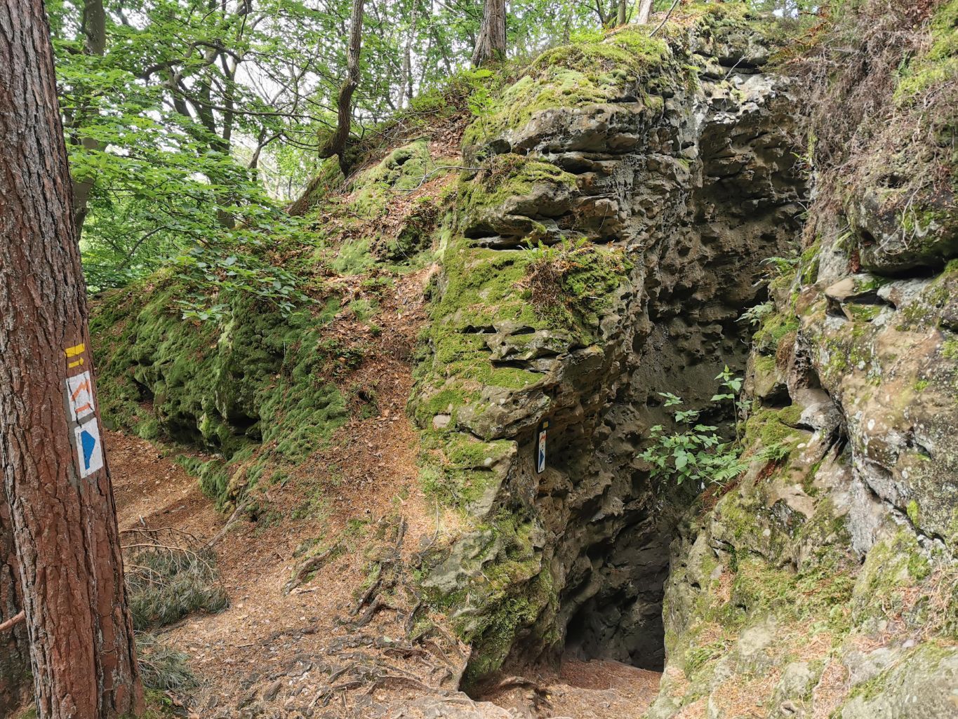 Natuur en rotsformaties op de Extratour A wandelroute in Noumerleeën