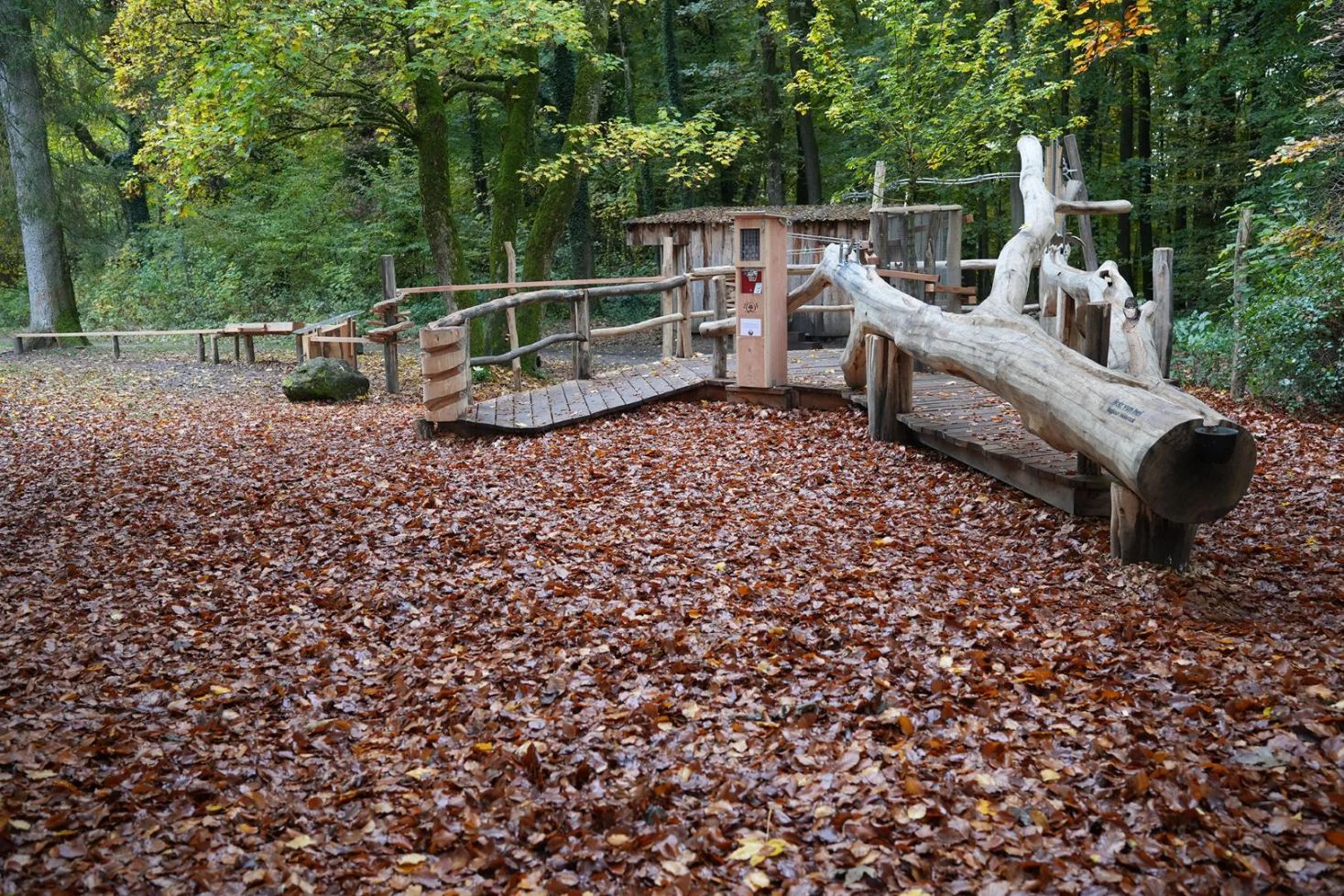 Houten ballenbaan in het bos bij Maartbësch in Berdorf, omringd door herfstbladeren.