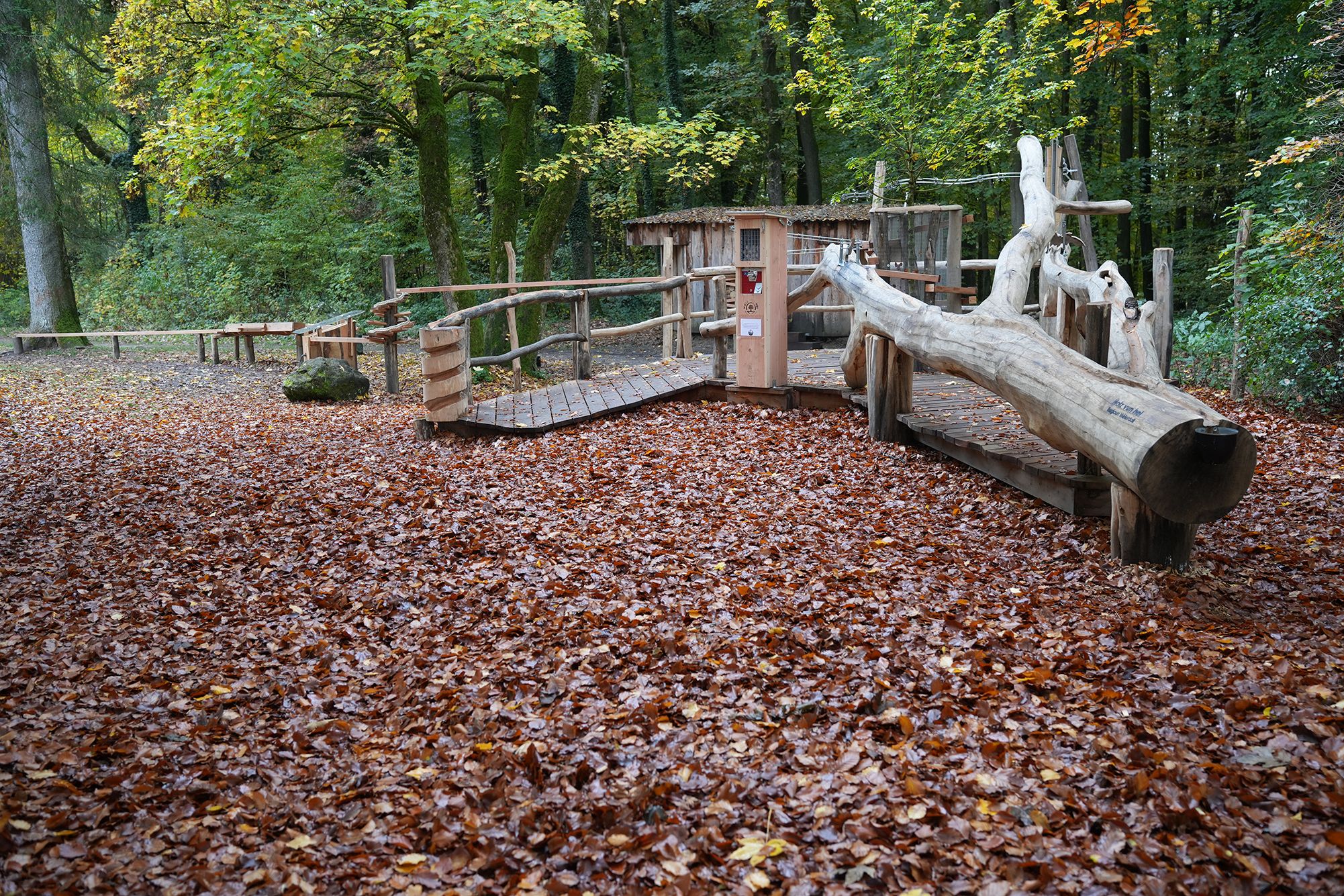Circuit à boules en bois dans la forêt du Maartbësch à Berdorf, entouré de feuilles d’automne.