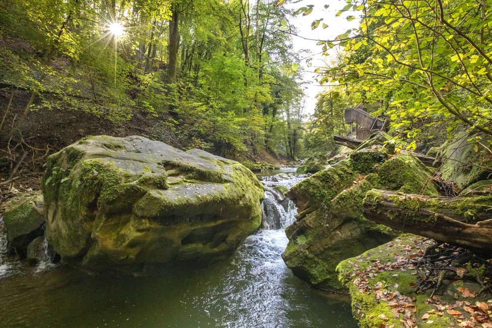 Der Fluss entlang des Schiessentümpel