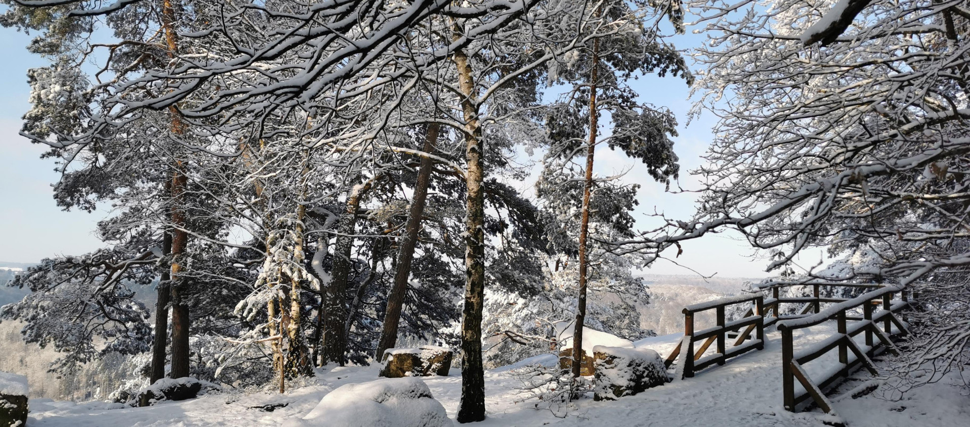 Berdorf  Plateau Ruetsbech in winter (c) ORT MPSL (23)