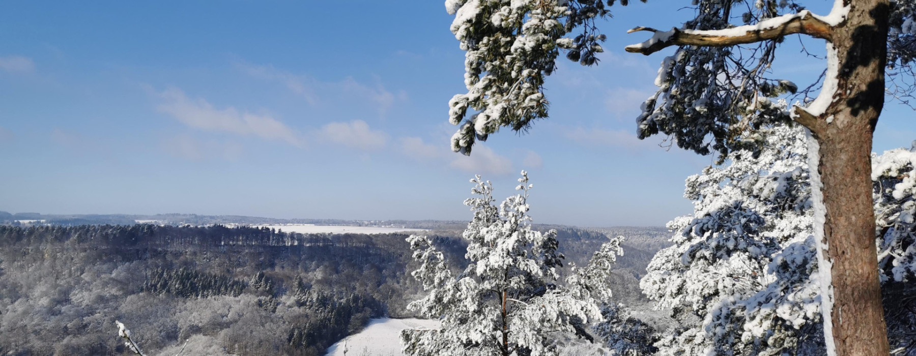Berdorf  Plateau Ruetsbech in winter (c) ORT MPSL (21)